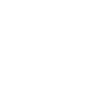 Paesi Bassi Logo